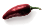 jalapeno